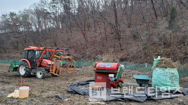 서리태콩 수확을 하는 농촌 풍경/사진=브랜드타임즈