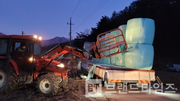 하필 영하 17도 새벽에 볏짚이 왔다. 그래도 걱정을 덜어 다행이다/사진=브랜드타임즈®