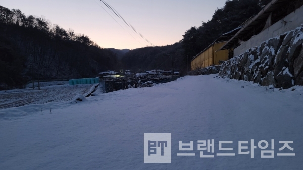 영하 8도 일요일(19일) 아침 축사로 아침 사료 주러 가는길/사진=브랜드타임즈