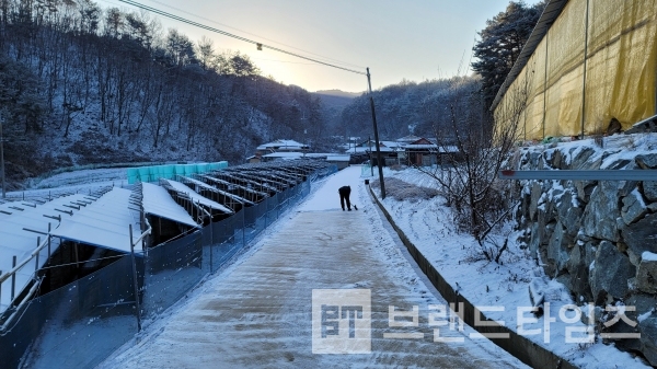 어렸을 적, 겨울 차임에 일어나 보면 아버지기 이렇게 길을 쓸어 놓으셨다/사진=브랜드타임즈