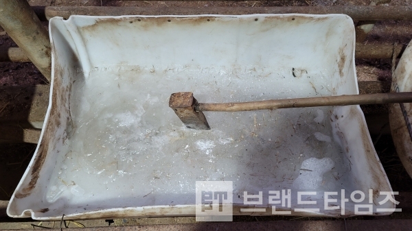 소가 물을 마시는 귕의 물이 꽁꽁 얼어 도끼로 깨야 하는 상황/사진=브랜드타임즈