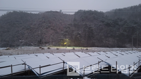 화이트 크리스마스를 맞은 강원도 횡성/사진=브랜드타임즈