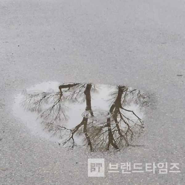 아름다운 서산 여미리/사진=여미 갤러리카페 조선희 관장®