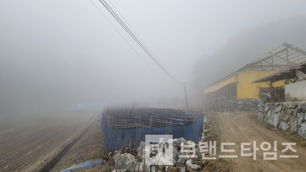 해의 뜨거운 열기에 안개가 서서히 물러선다/사진=브랜드타임즈®