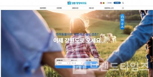 강원 댕댕여지도 이미지/사진=강원 댕댕여지도 누리집(홈페이지)