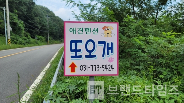 경기도 양평군 청운면에 있는 애견펜션 브랜드 또오개™/사진=브랜드타임즈®