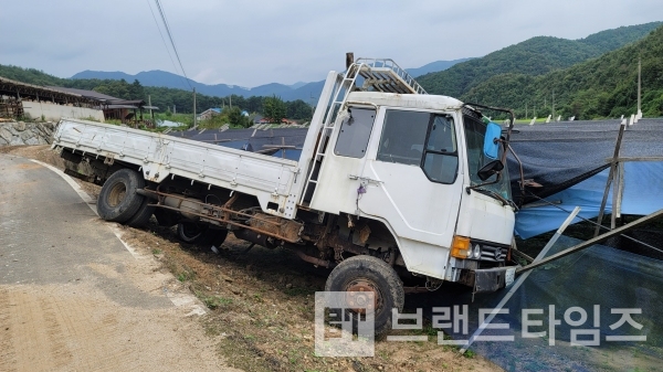 인삼 밭으로 내려간 5톤 화물차/사진=브랜드타임즈