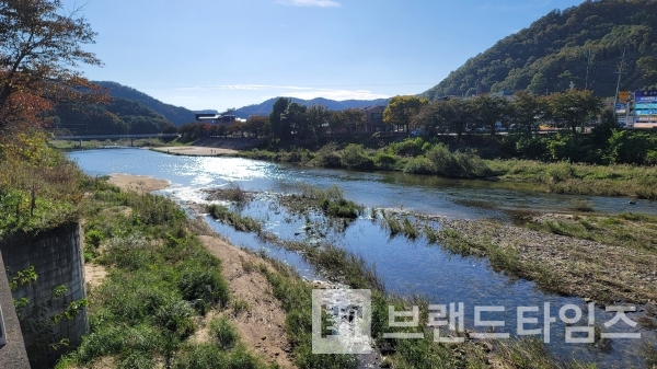 아름답게 비추는 가을 햇살/사진=브랜드타임즈®