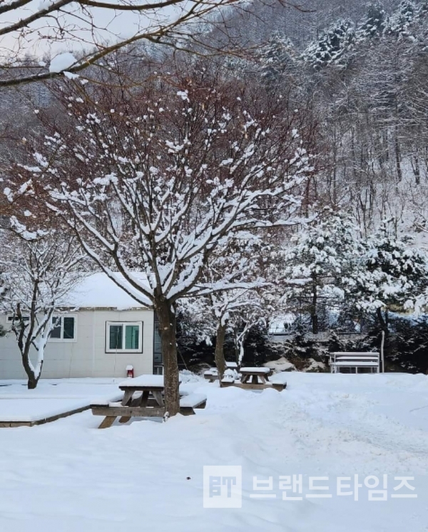 눈 내린 가평의 여유/사진=단국대학교 추동민 교수