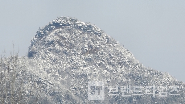 지난 17일 횡성군 공근면의 산에 눈꽃이 피었다/사진=브랜드타임즈®