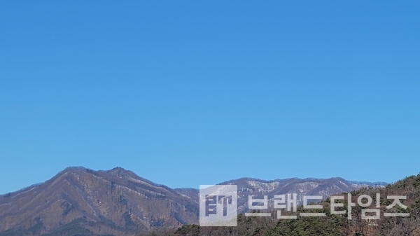 21일 설을 하루 앞둔 하늘은 구름 한 점 없이 맑았다 /사진=브랜드타임즈®