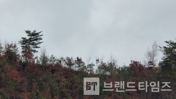 단비, 몸 가뭄을 해소하다/사진=브랜드타임즈®