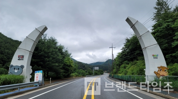 대한민국을 대표하는 강원특별자치도 횡성군의 횡성한우®/사진=브랜드타임즈®