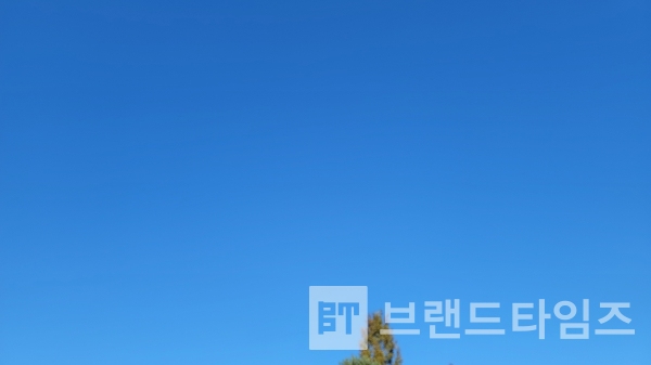 물감이 아닌 진짜 가을 하늘/사진=브랜드타임즈®