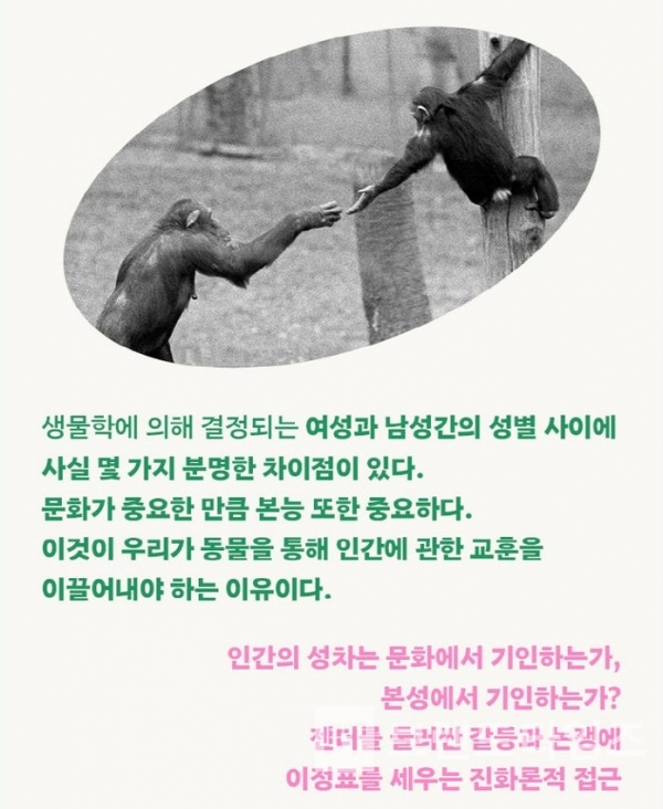 문재인 전 대통령이 추천한 세종서적®의 ‘차이에 관한 생각’/사진=인터넷 교보문고® 갈무리(캡처)