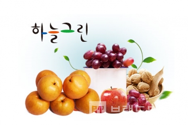 2004년 개발한 천안시 농산물 공동브랜드 ‘하늘그린®’/사진=천안시