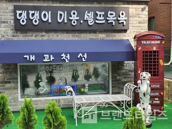 애완견 미용과 놀이방 브랜드 개과천선® 매장/사진=개과천선®