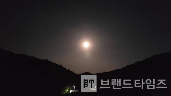 여름밤/사진=브랜드타임즈®