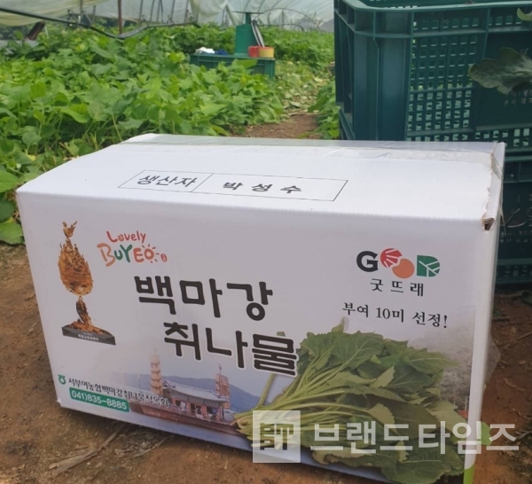 부여군 규암면에 있는 로컬 식당 브랜드 ‘부여제철소™’의 농산물 굿뜨래® 백마강 취나물/‘부여제철소™’