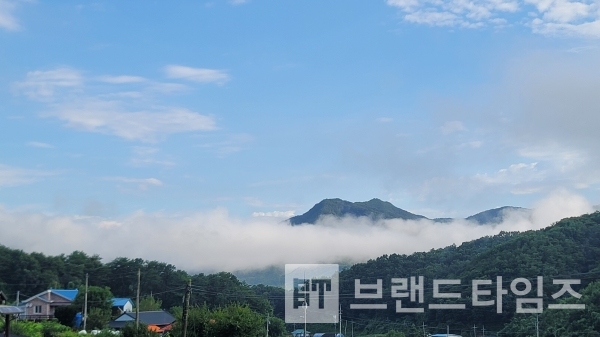 가을이 오는 느낌/사진=브랜드타임즈