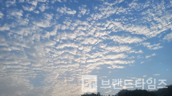 가을이 오는 저녁/사진=브랜드타임즈®