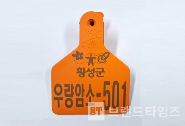 횡성군 우량암소 귀표/사진=횡성군
