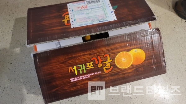 감귤은 서귀포감귤/사진=브랜드타임즈