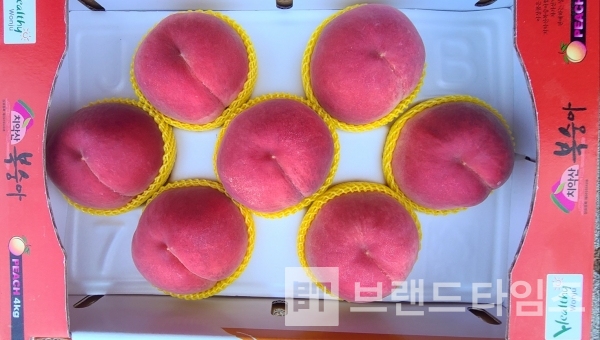 치악산복숭아®/사진=원주시농업기술센터