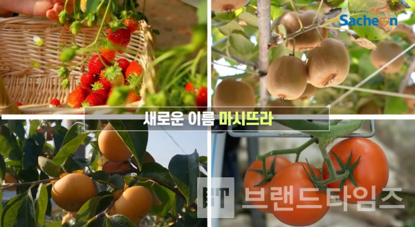 사천시 농산물 공동브랜드 마시뜨라® 홍보 영상/사진= 마시뜨라® 유튜브® 갈무리(캡처)